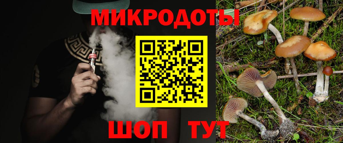 Галлюциногенные грибы Cubensis  Вход с VPN  Кириши  Псилоцибиновые грибы Cubensis 